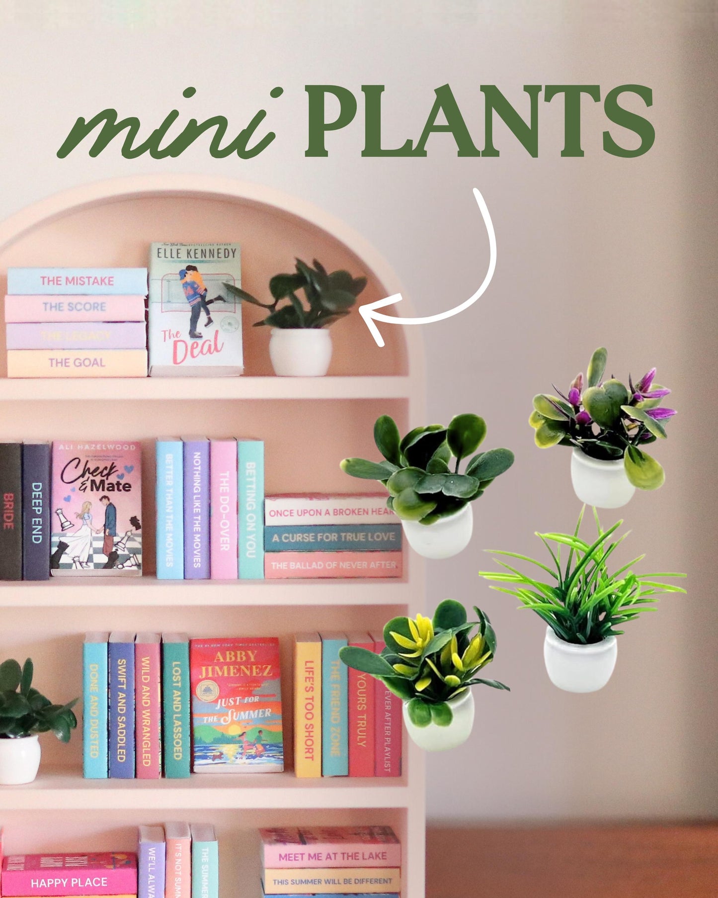 Mini Plants