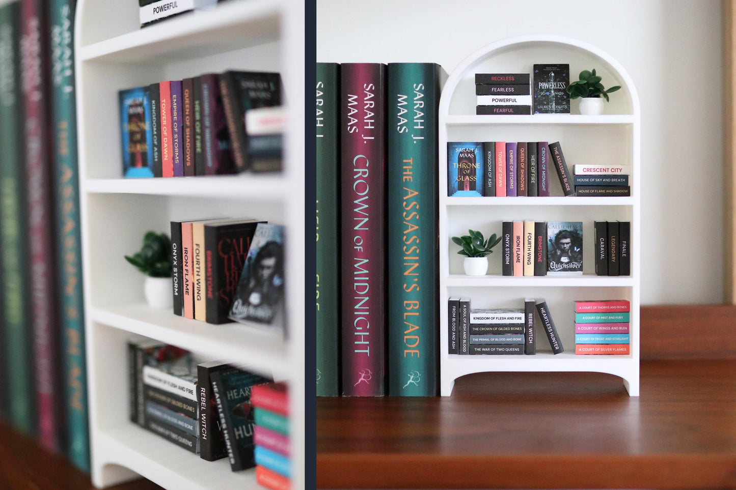 Fantasy Mini Bookshelf Bundle