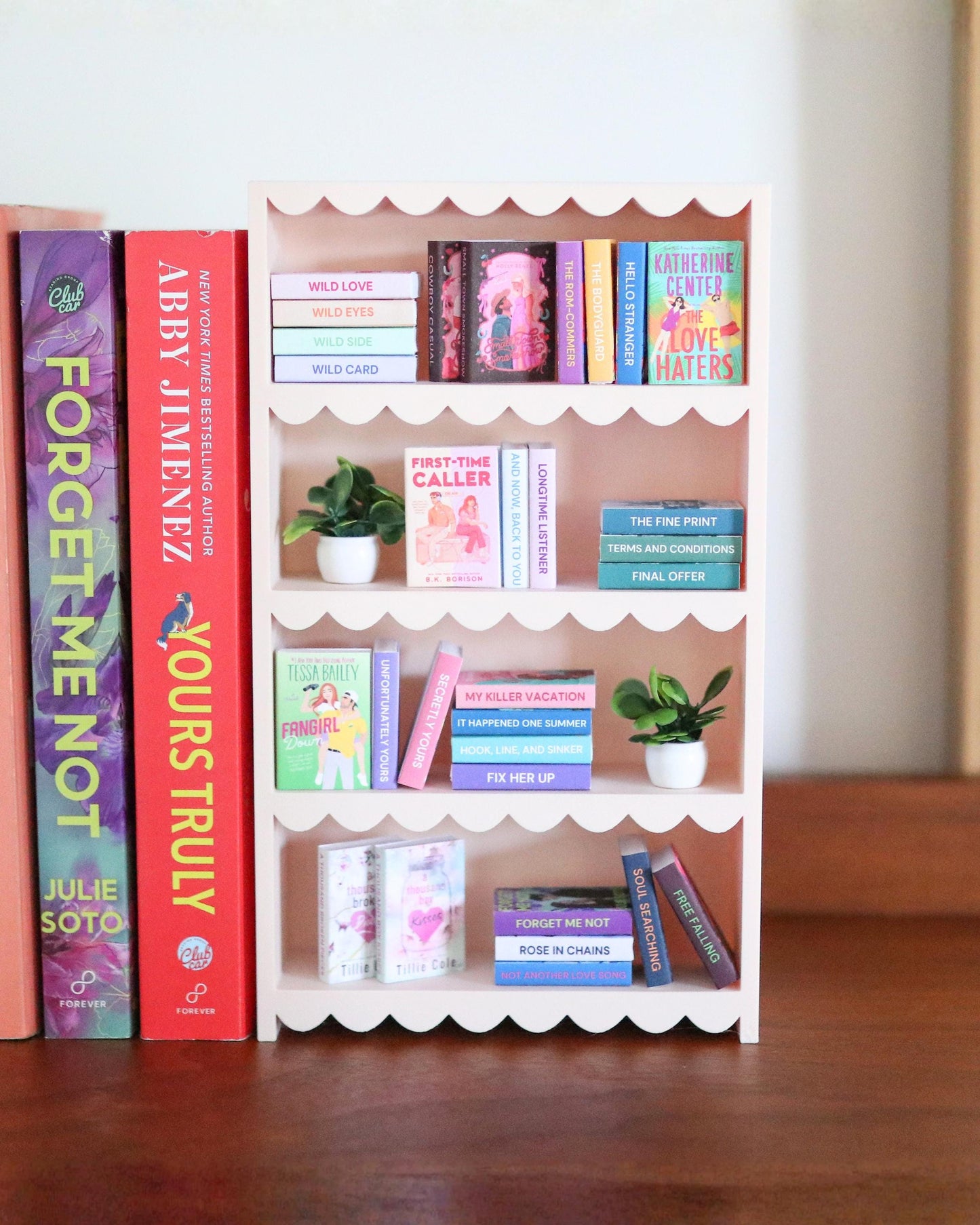 Cute Mini Bookshelf Bundle