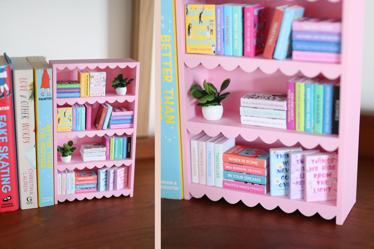 Lynn Painter Mini Bookshelf Bundle