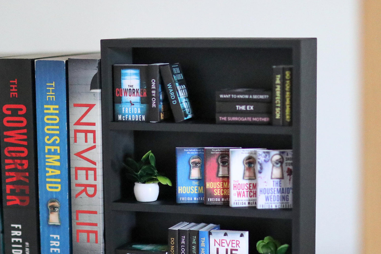 Freida McFadden Mini Bookshelf Bundle