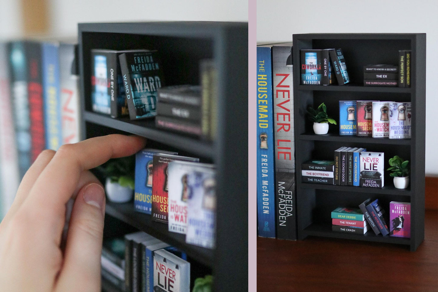 Freida McFadden Mini Bookshelf Bundle