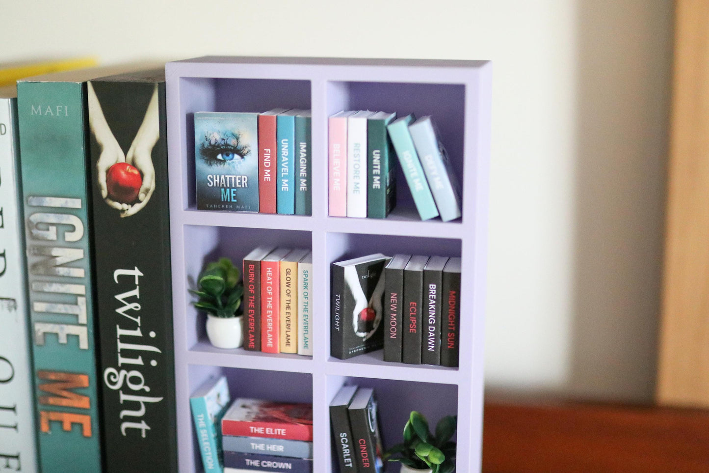 YA Mini Bookshelf Bundle