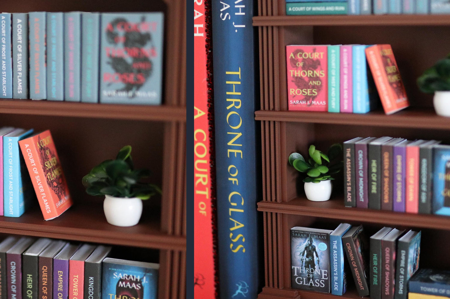 SJM Mini Bookshelf Bundle