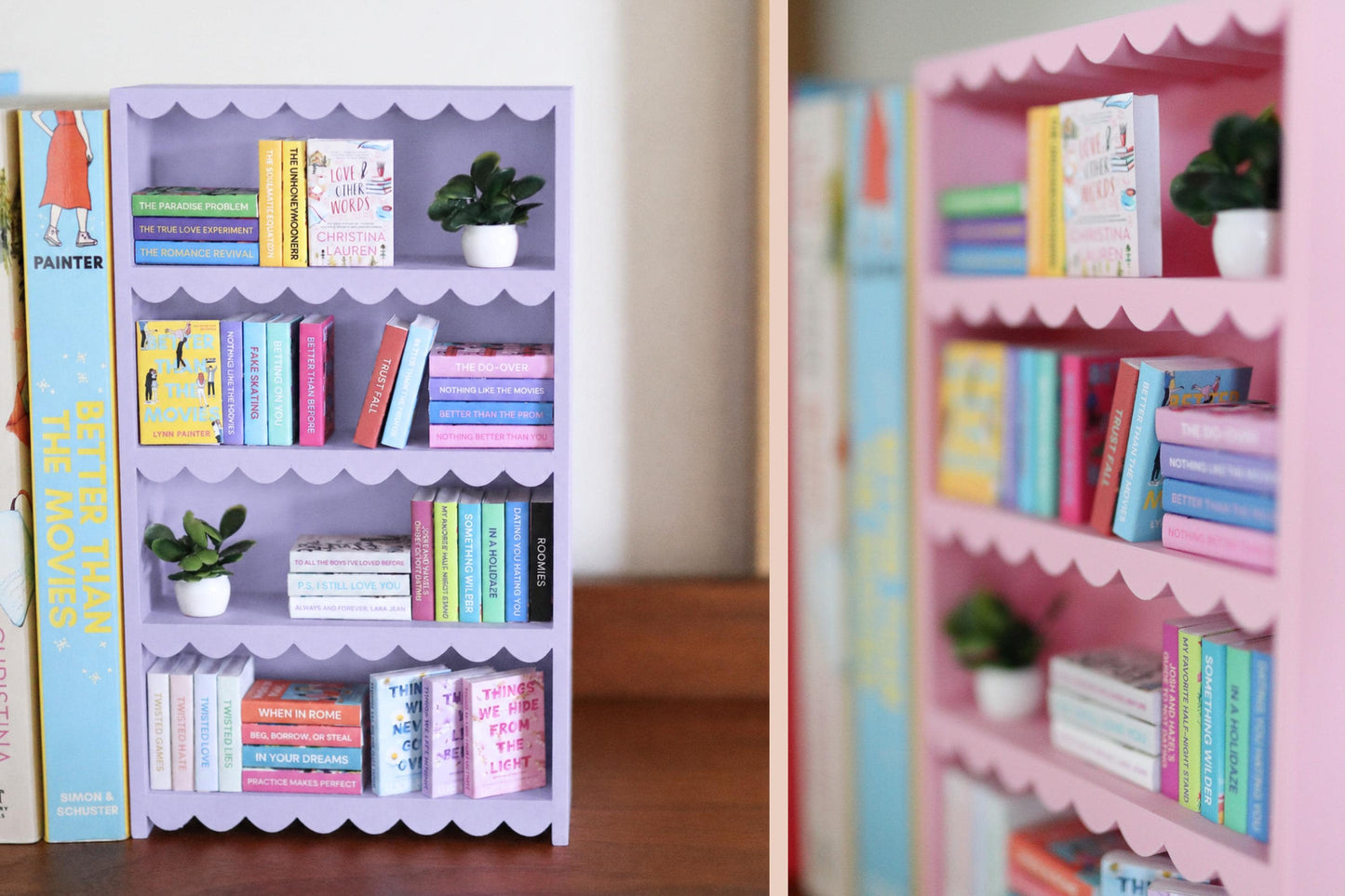 Lynn Painter Mini Bookshelf Bundle