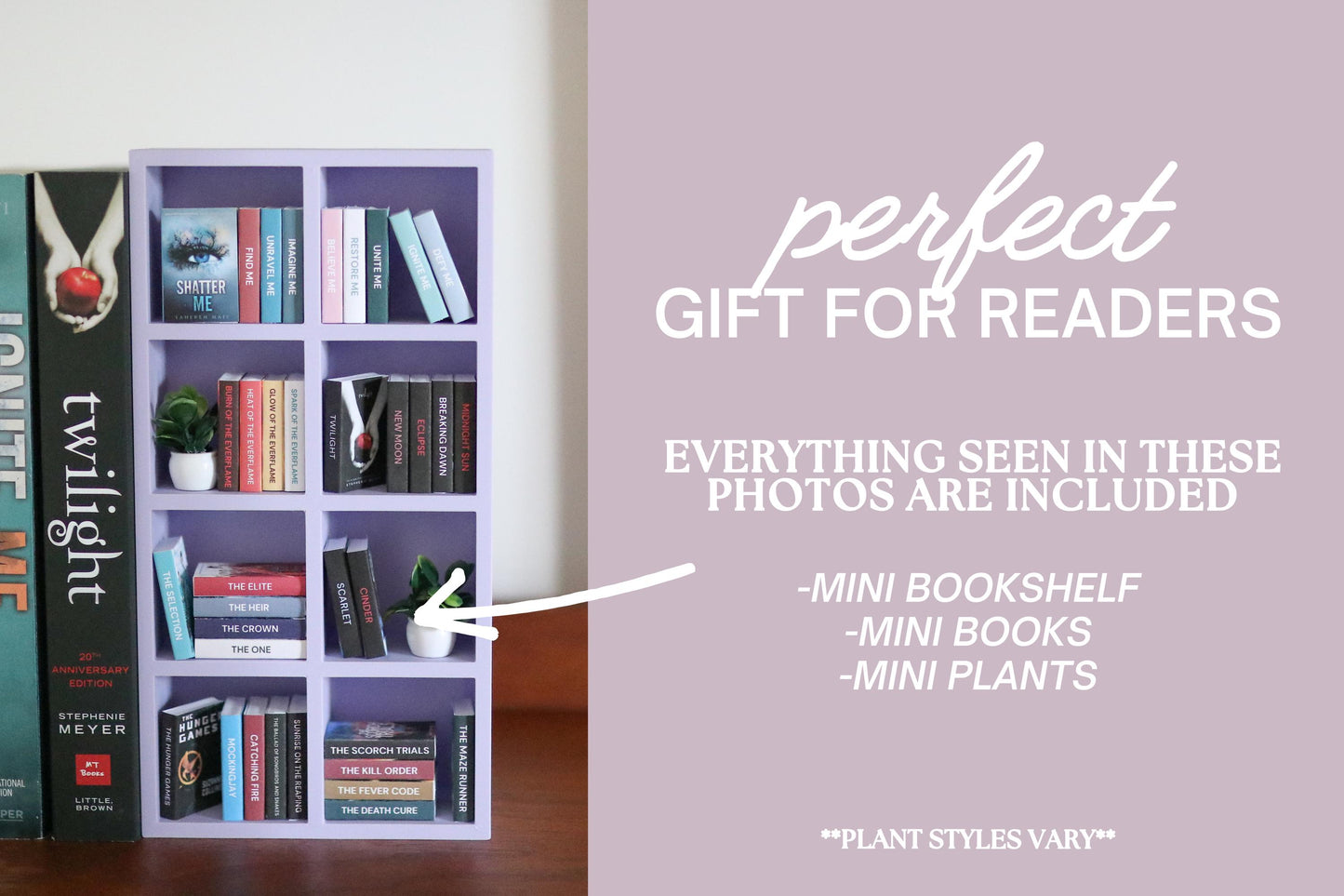 YA Mini Bookshelf Bundle