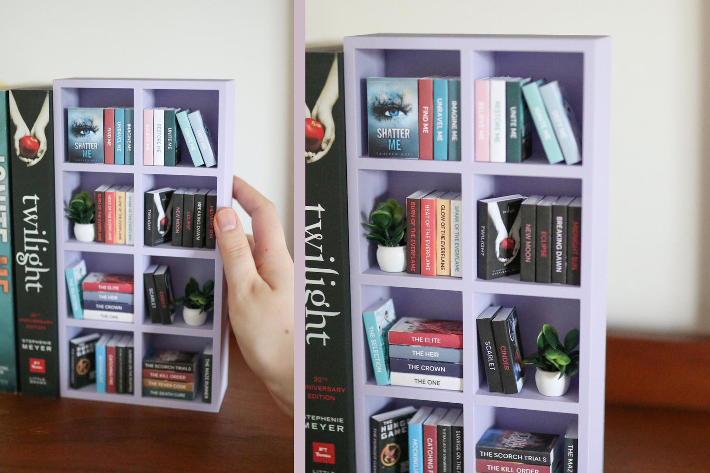 YA Mini Bookshelf Bundle