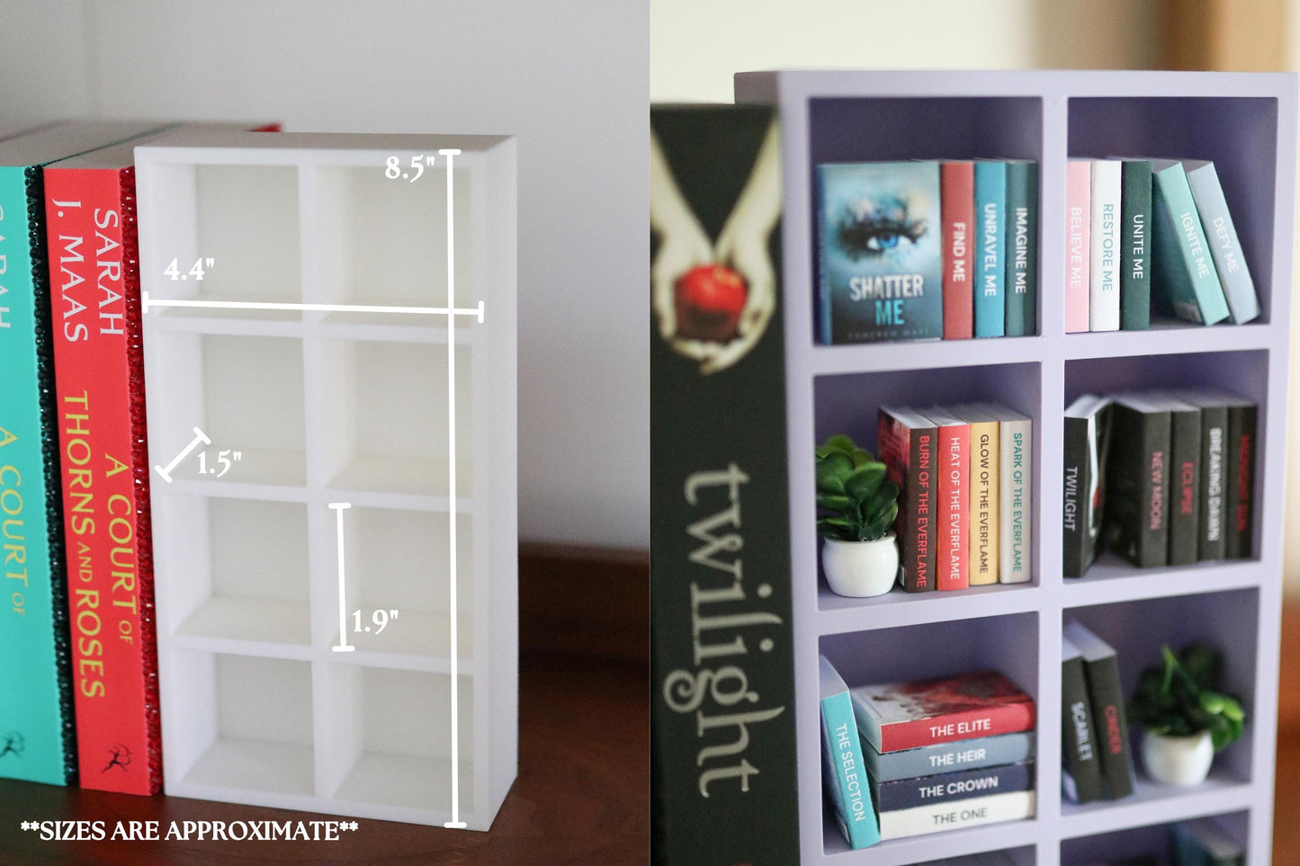 YA Mini Bookshelf Bundle