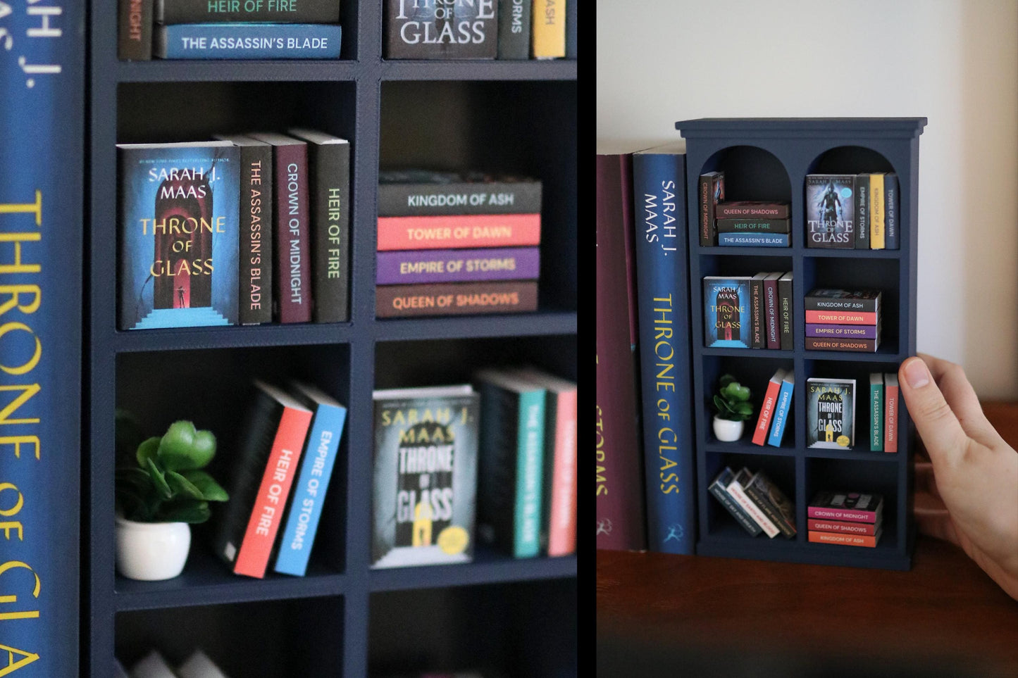 TOG Mini Bookshelf Bundle