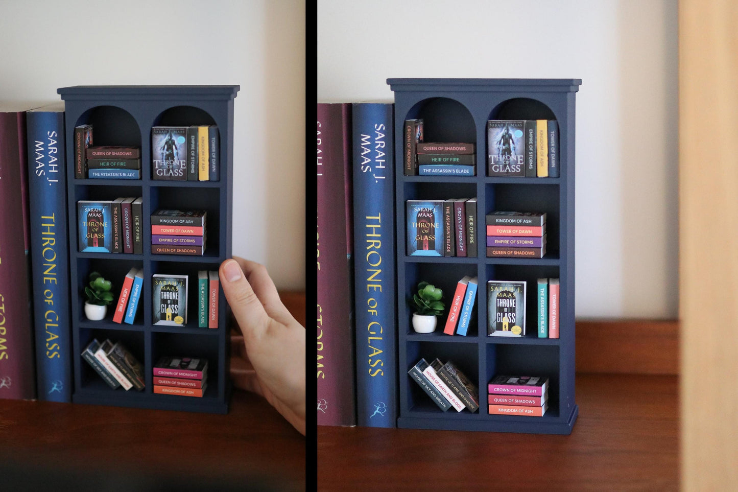 TOG Mini Bookshelf Bundle