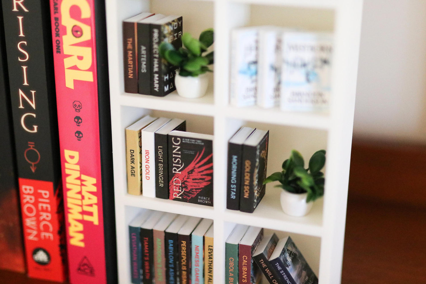 Dungeon Crawler Carl Mini Bookshelf Bundle
