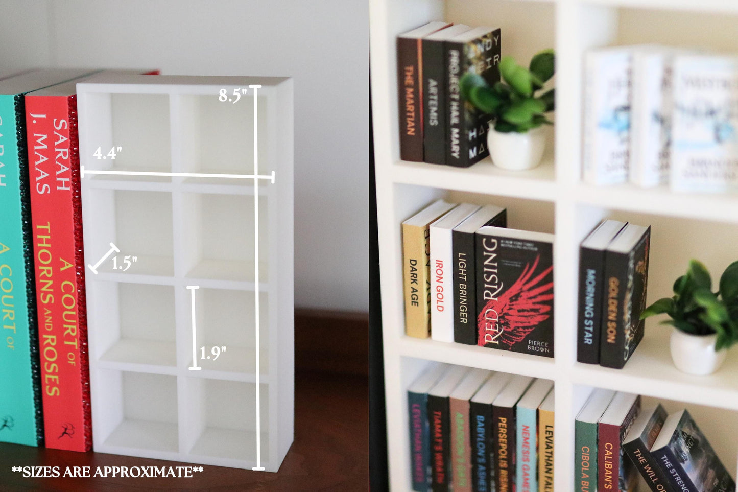 Dungeon Crawler Carl Mini Bookshelf Bundle