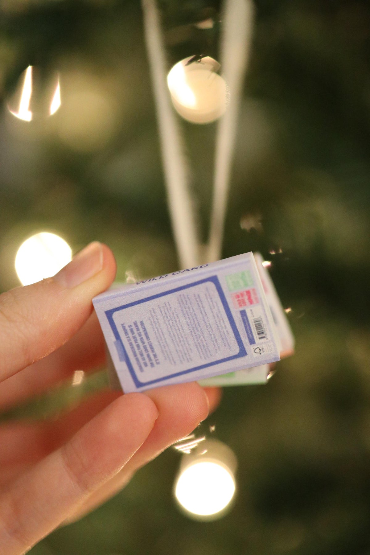 Wild Love Mini Book Stack Ornament
