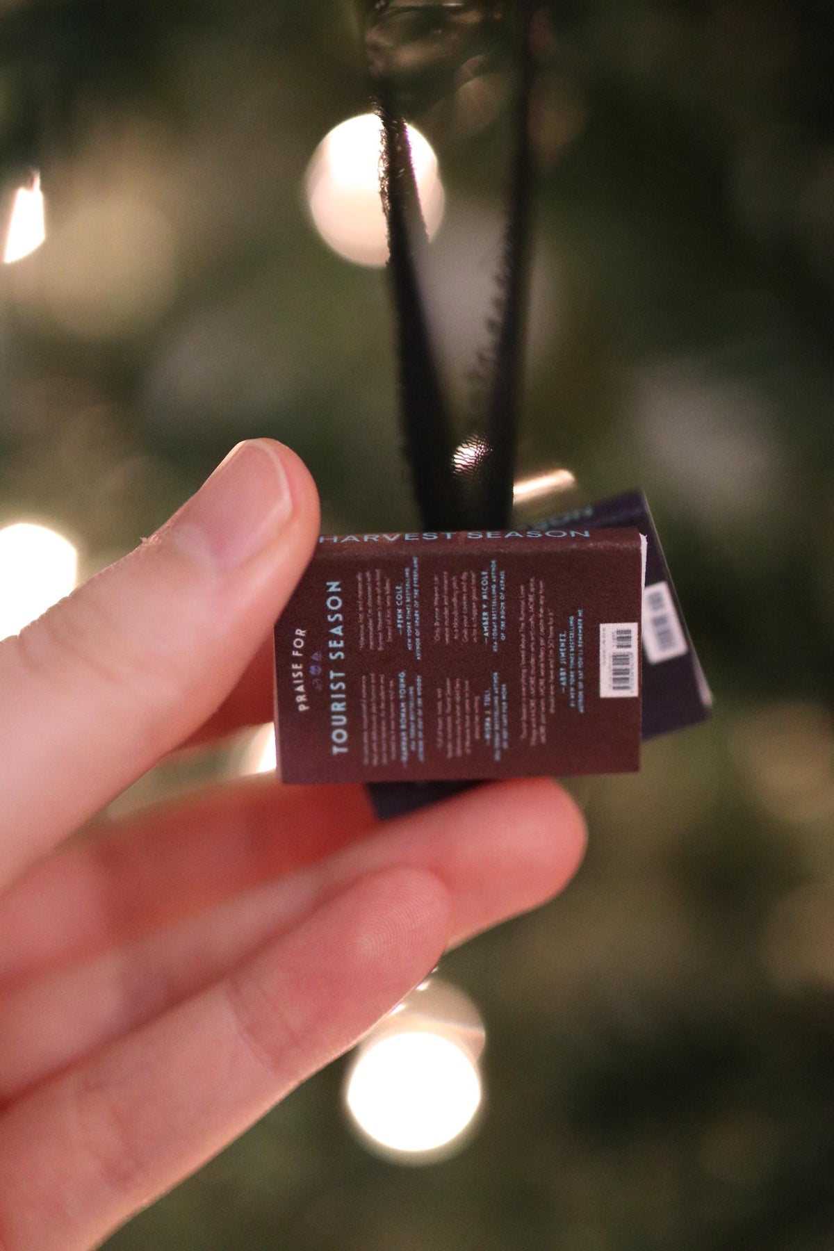 Tourist Season Mini Book Stack Ornament