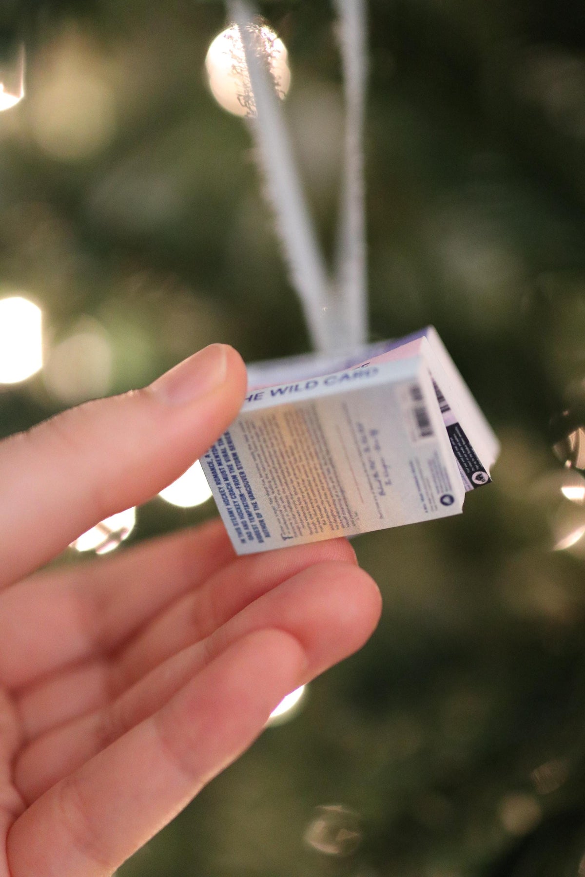 Behind the Net Mini Book Stack Ornament