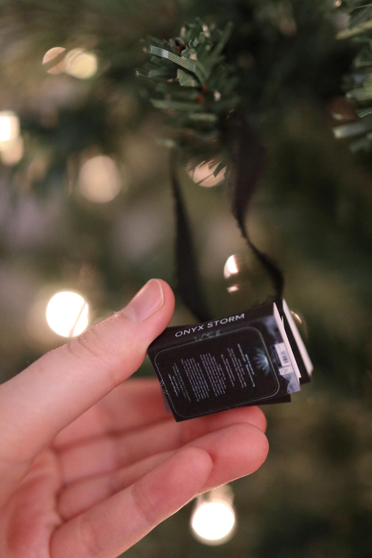 Dark Fourth Wing Mini Book Stack Ornament