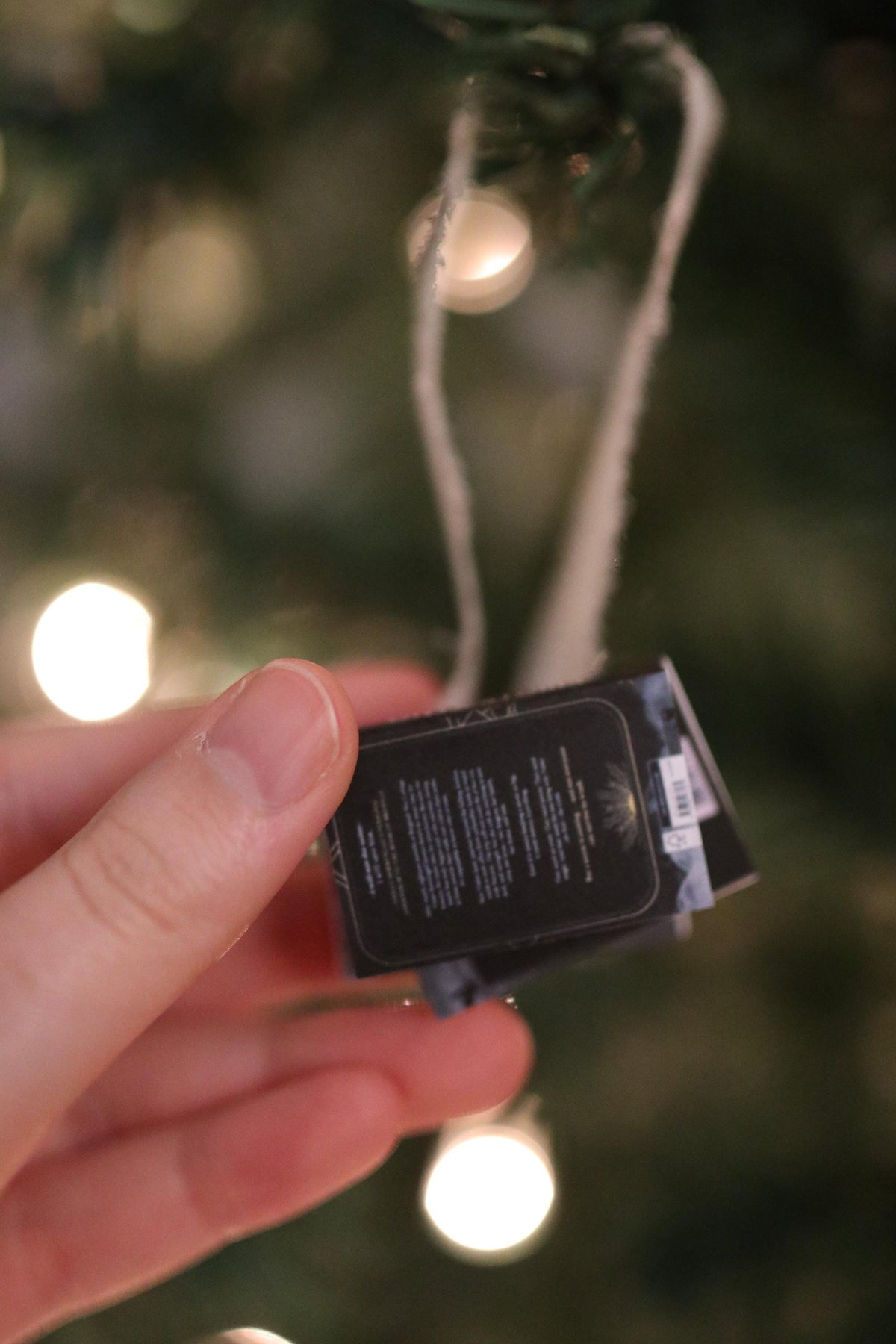 Black Fourth Wing Mini Book Stack Ornament