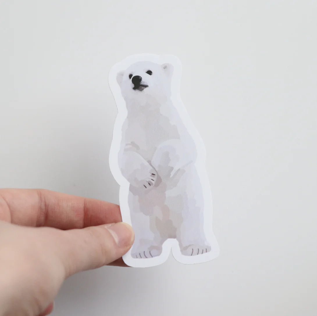 Polar Bear