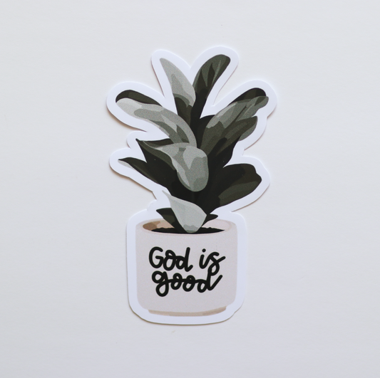 God is Good Plant