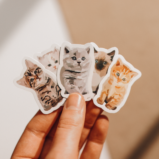 Mini Kitten Collection