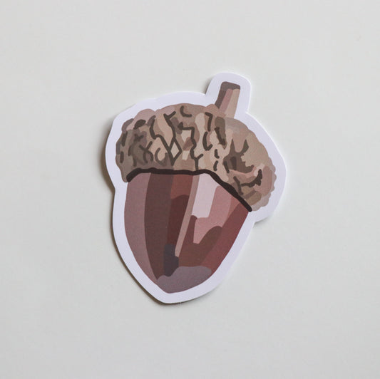 Acorn
