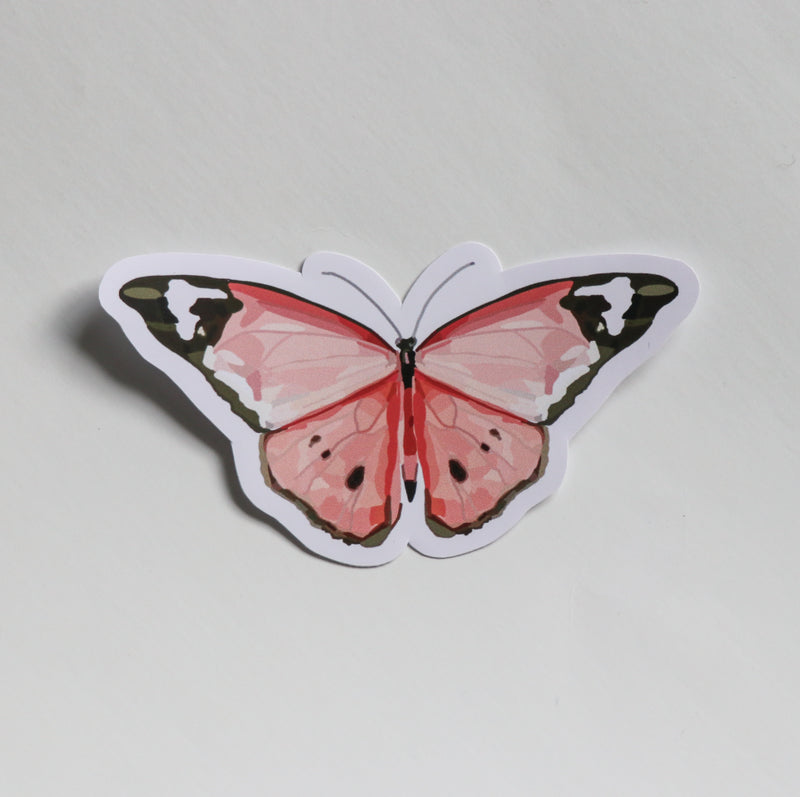Pink Butterfly