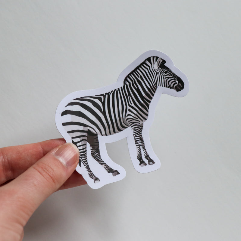 Zebra