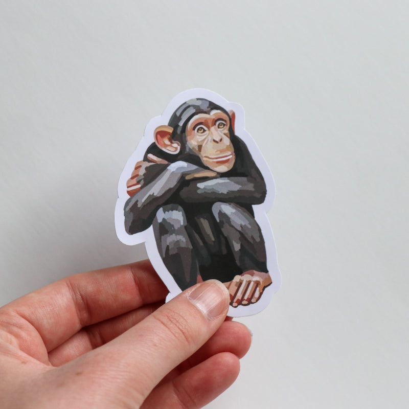 Chimpanzee