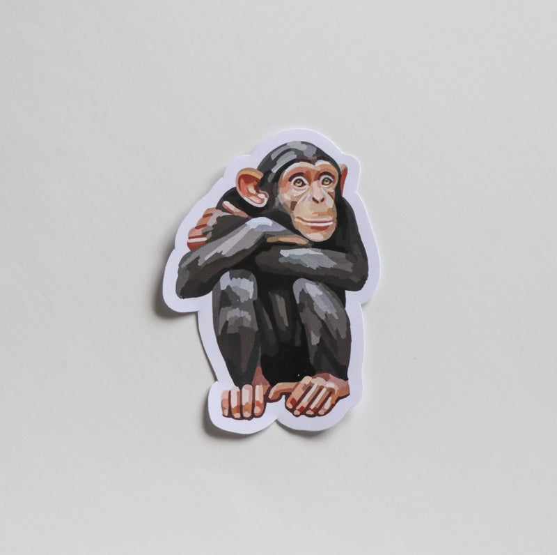 Chimpanzee