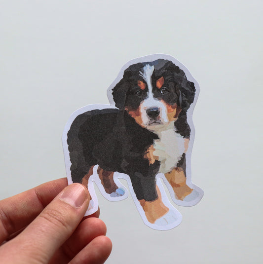 Bernese Mountain Dog