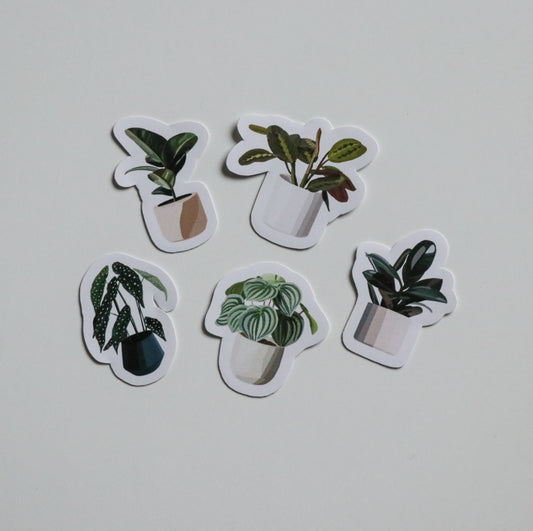 Mini Greenery Collection