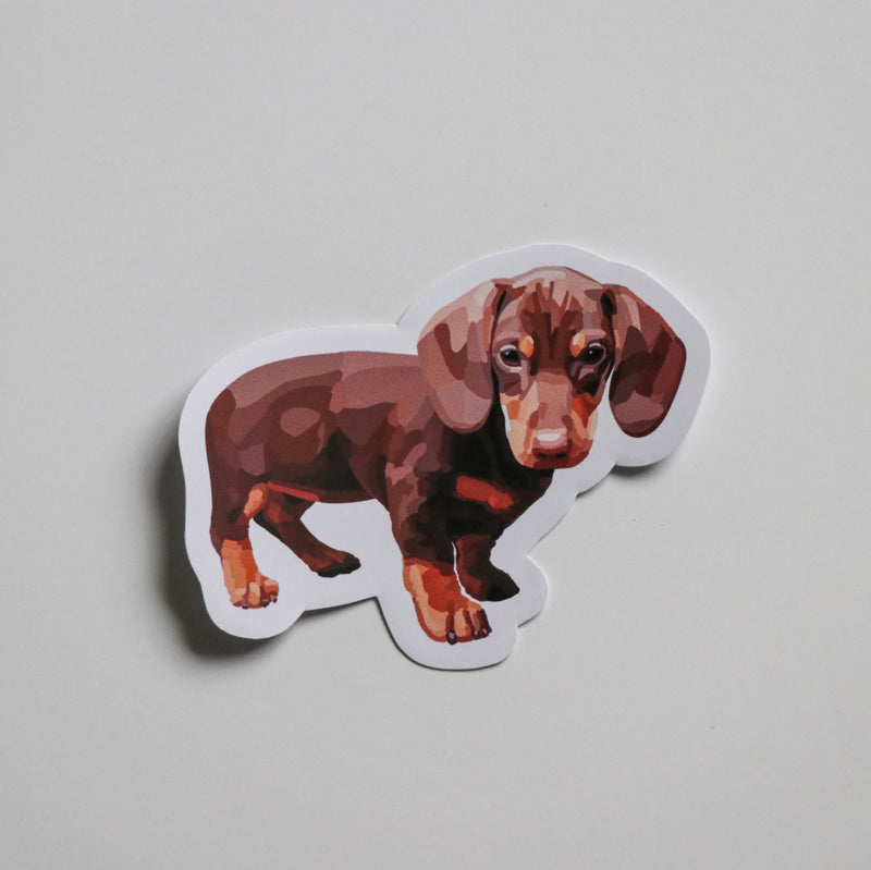 Weiner Dog Puppy