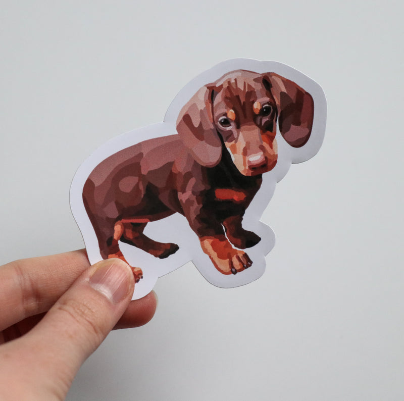 Weiner Dog Puppy