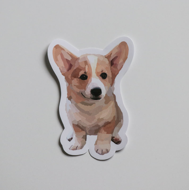 Corgi Puppy