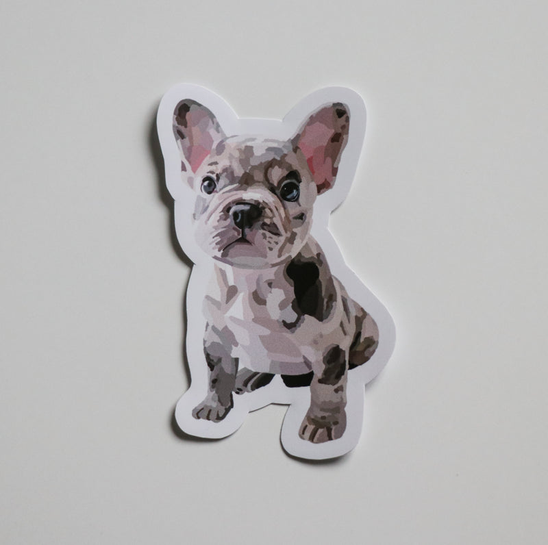 French Bulldog Puppy