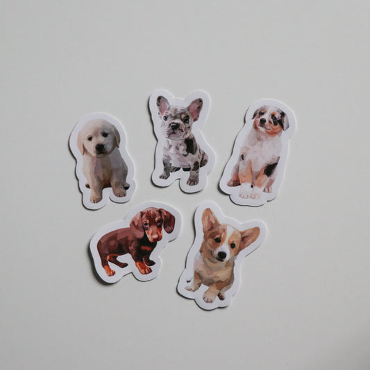 Mini Dog Collection