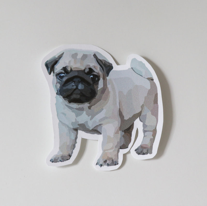 Pug