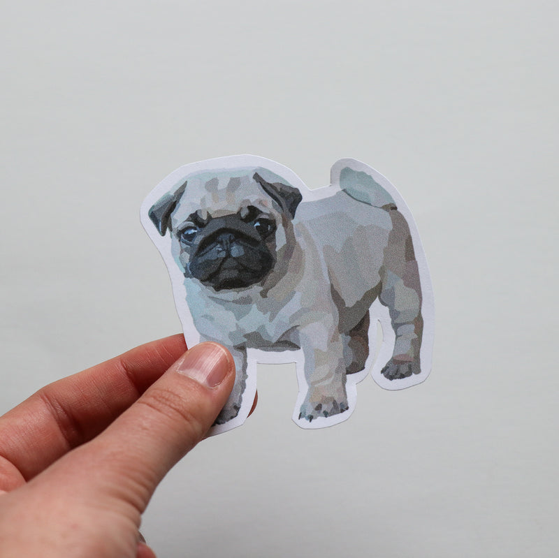 Pug