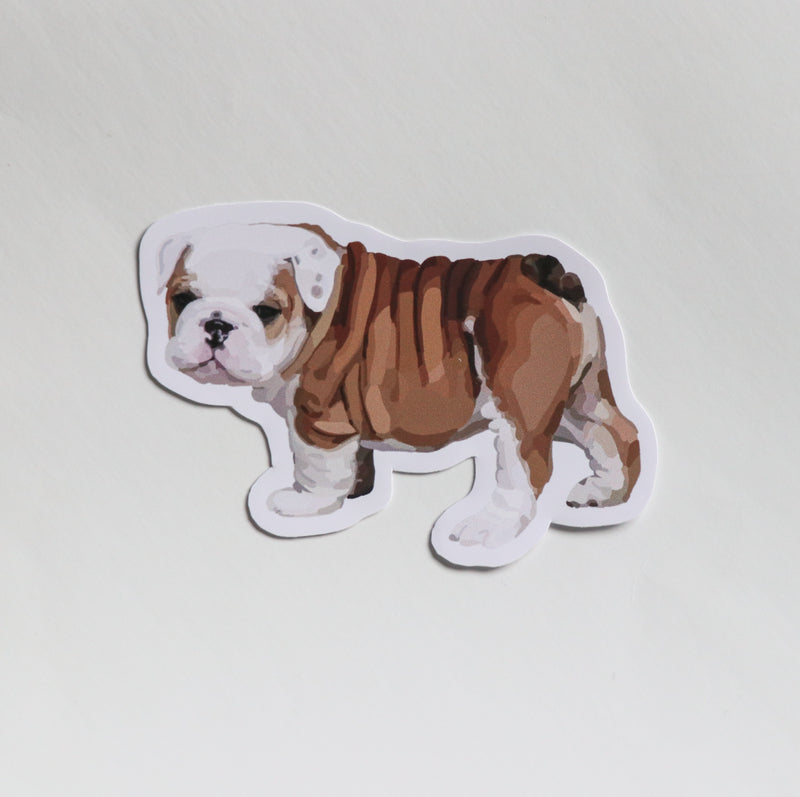 Bulldog