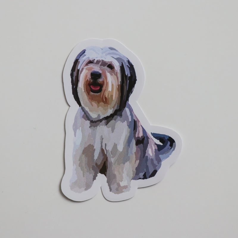Fluffy Dog