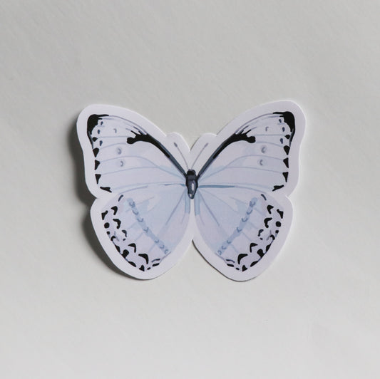 Blue Butterfly