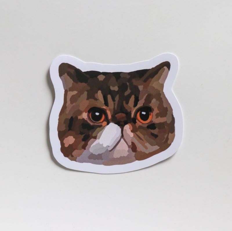 Brown Cat