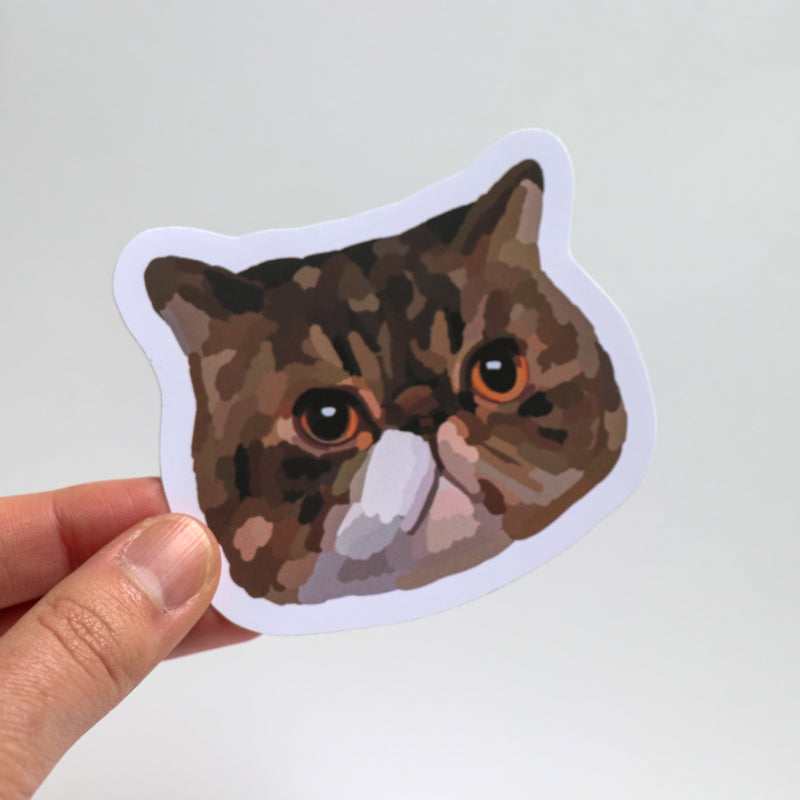 Brown Cat