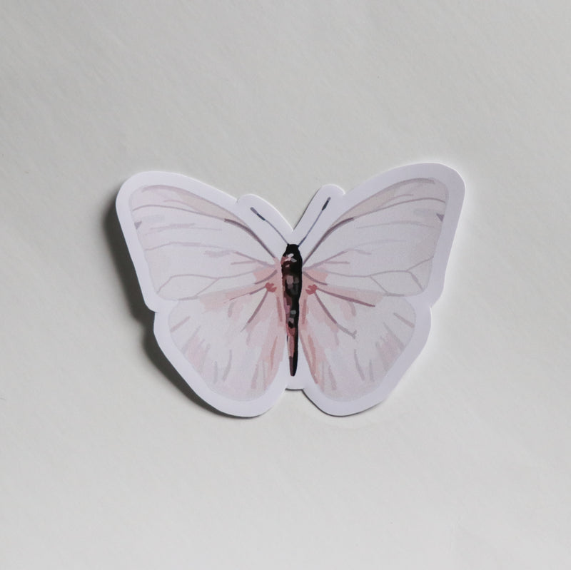Blush Butterfly