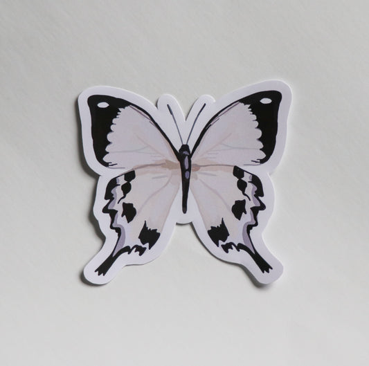 White Butterfly