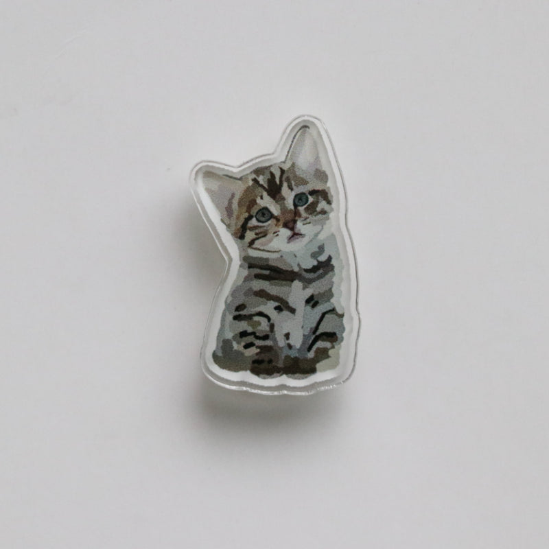 Kitten Acrylic Pin