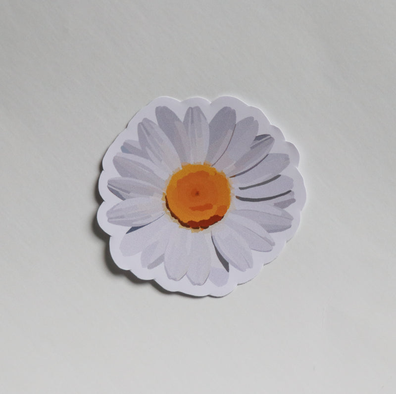 Daisy