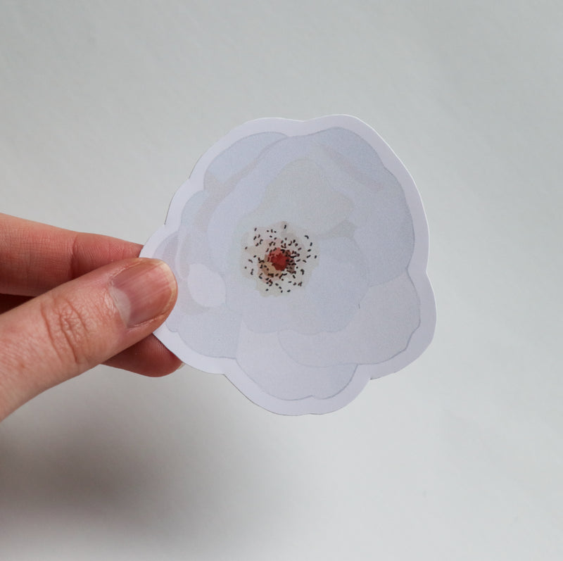 Camellia