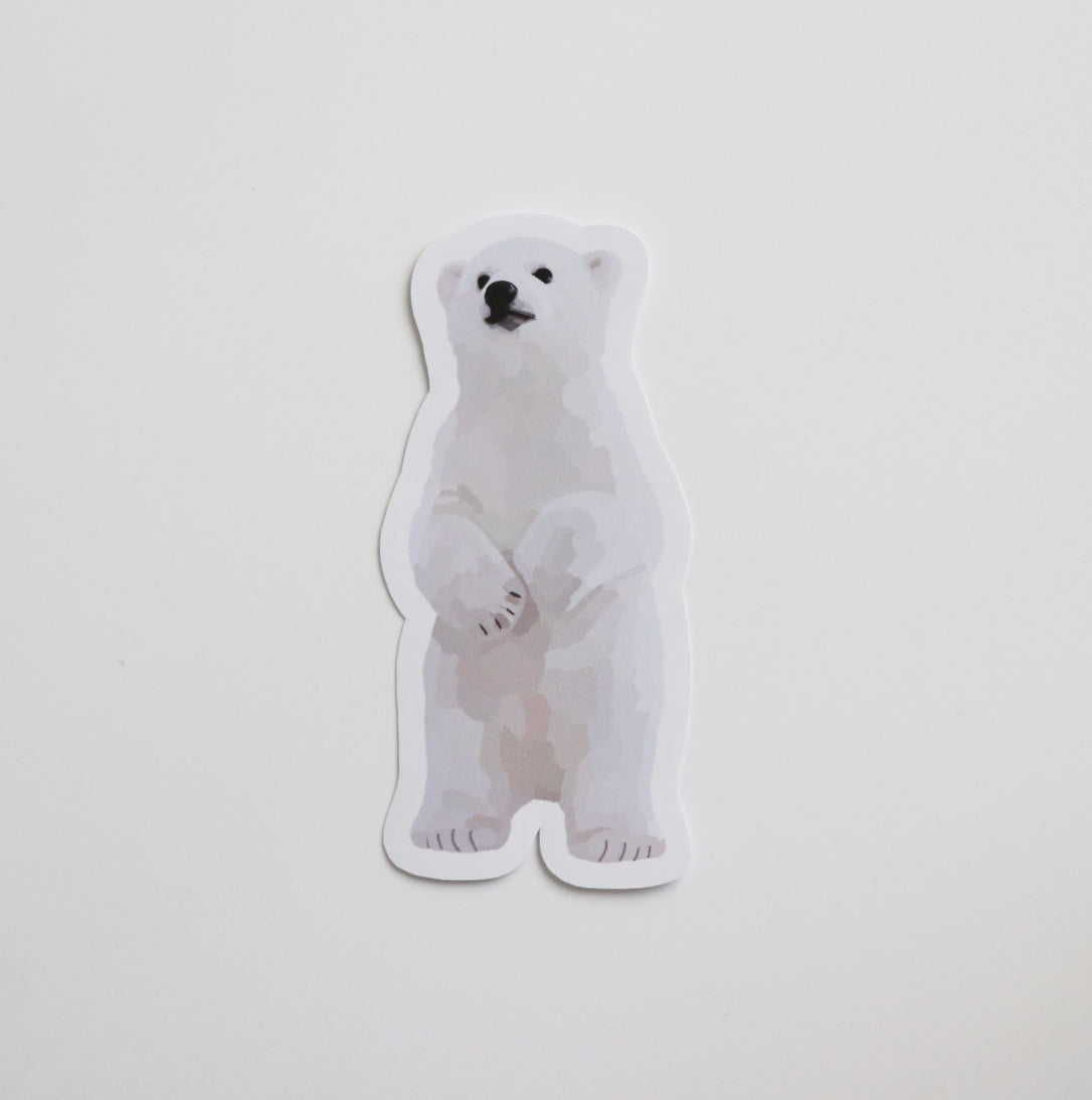 Polar Bear