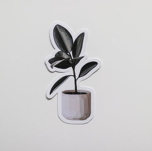 Minimal Plant